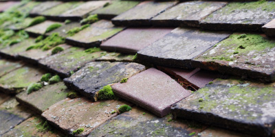 Crick roof repair costs